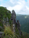 0002 The pinnicles_thumb.gif